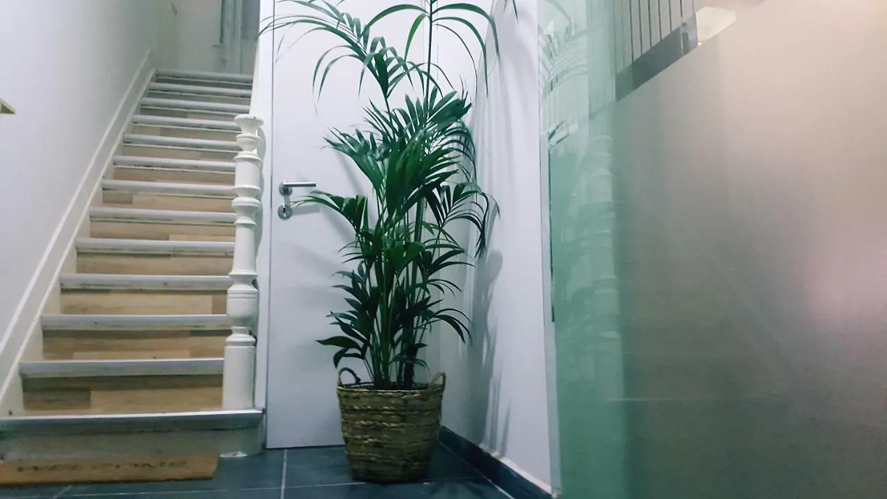 Artistic World Apartment Brussels 0*,